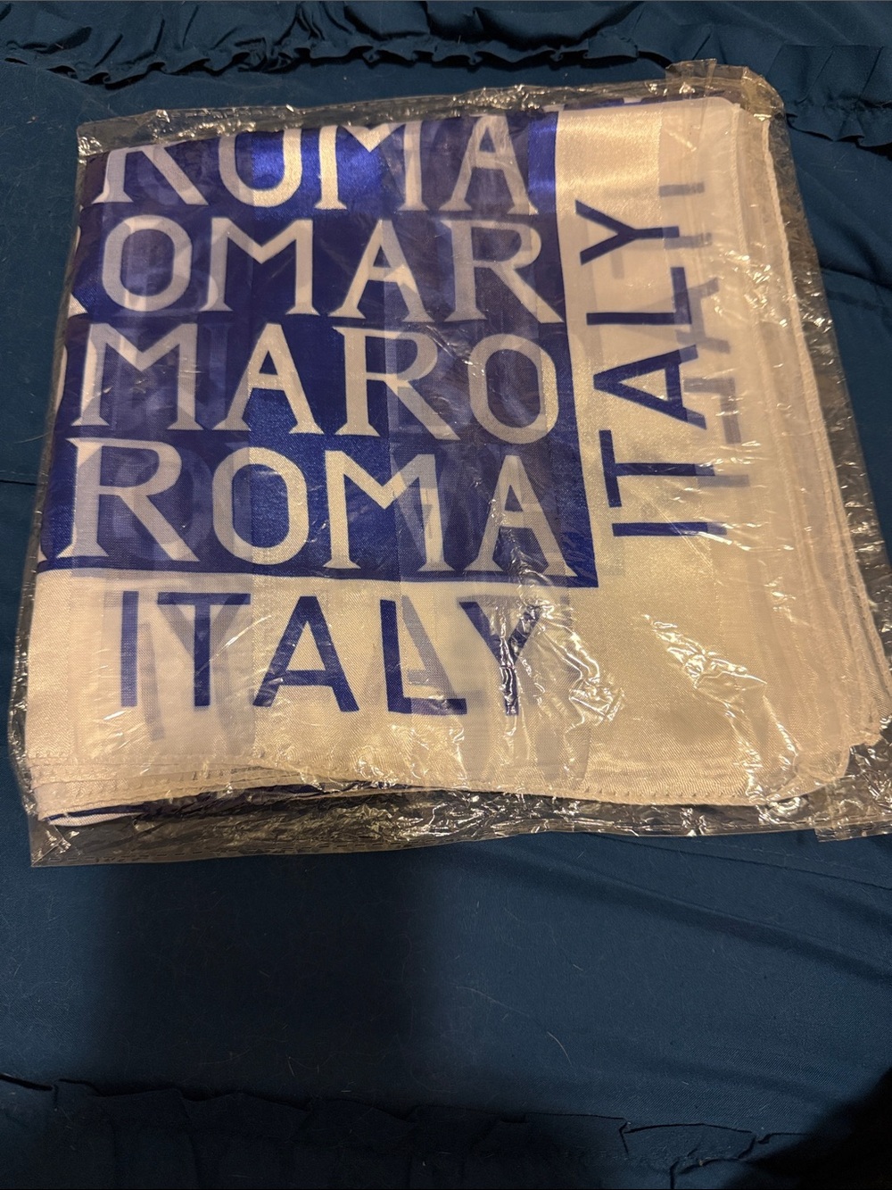 Blue & White 'Italy Roma' Graphic Scarf